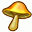 Umbrella Mushroom