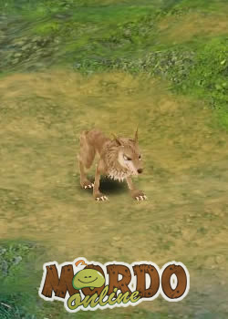 Wolf Cub