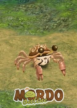 Sand Crab