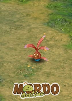 Red Mystic Shrub