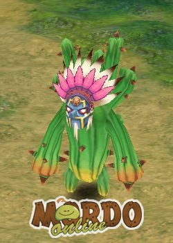 Cactus Chieftian