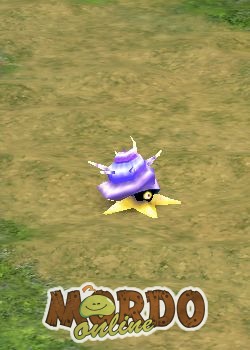 Northern Snail