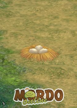 Fearsome Tortoise Lair