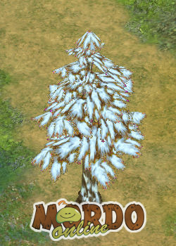 Pine Tree