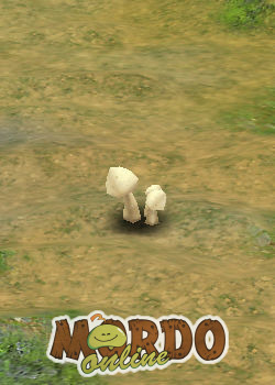 Mushroom