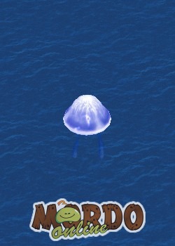 Shocking Sea Jelly
