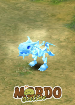 Baby Icy Dragon