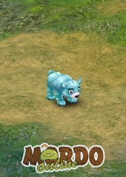 Snowy Bear Cub