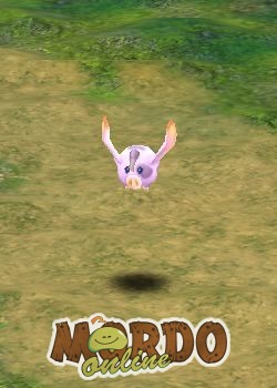 Air Porky
