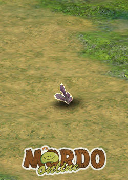 Lucky Magical Stone