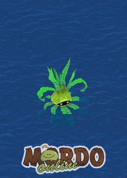 Floating Seaweed